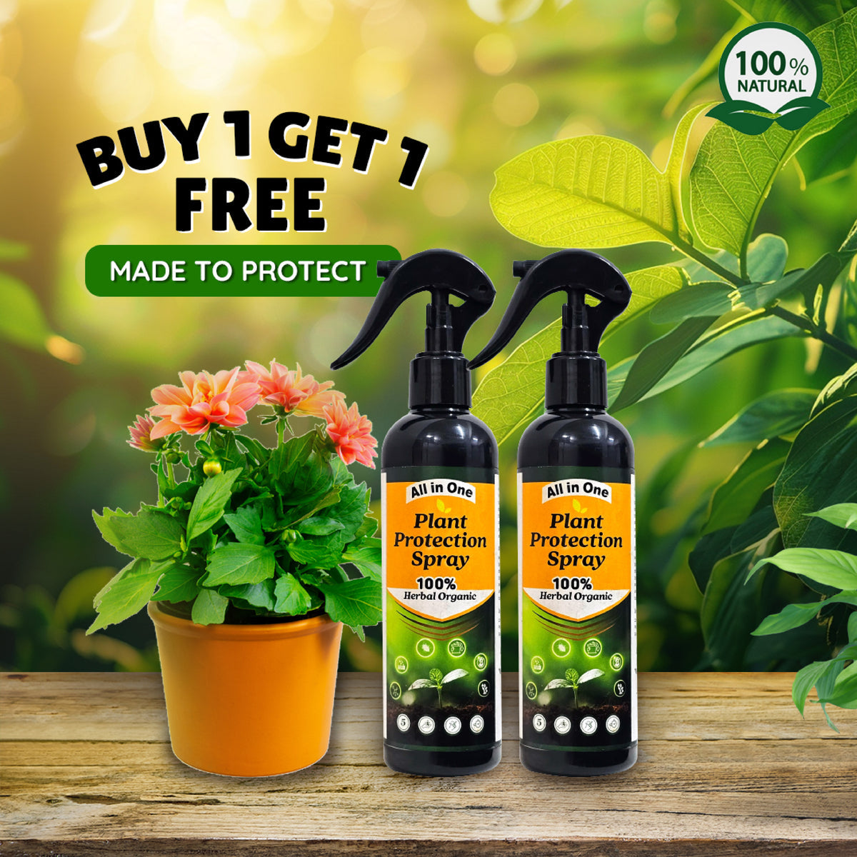 LeafGuardâ„¢ - All in One Plant Protection Spray 🌿🛡ï¸(Buy 1 Get 1 Free🔥🔥)
