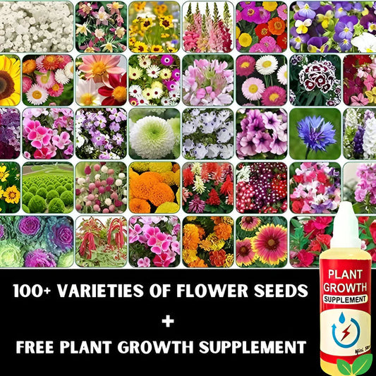 100 Varieties of Flower Seeds (Pack of 100) |ðŸ”¥FLAT 50% OFF SALEðŸ”¥